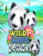 วิธี แทง บอล fun88 ให้ได้ผลดีและสนุกไปพร้อมกัน